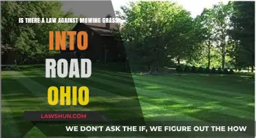 Ohio Law and Mowing Grass: Can Clippings Be Dumped on Roads?