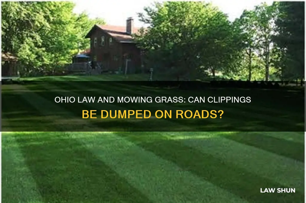is there a law against mowing grass into road ohio