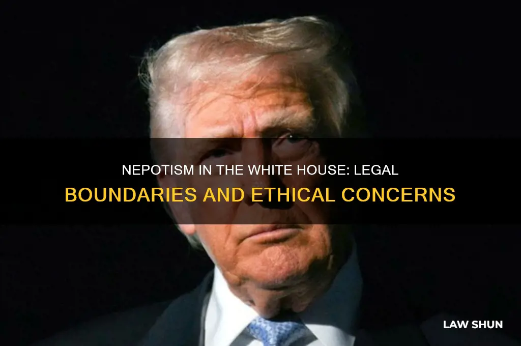 is there a law against nepotism in the white house