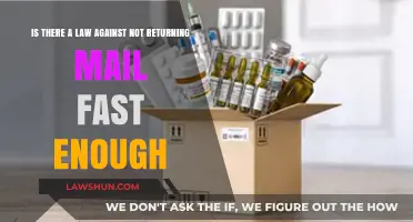 Legal Consequences for Delayed Mail Returns: What You Need to Know
