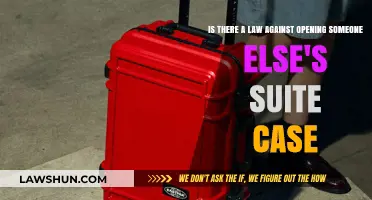 What's the Law on Opening Someone's Suitcase?