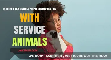 Service Animals and Communication: Legal Boundaries Explored