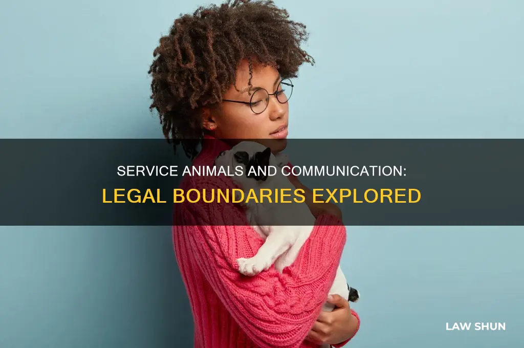is there a law against people communicating with service animals