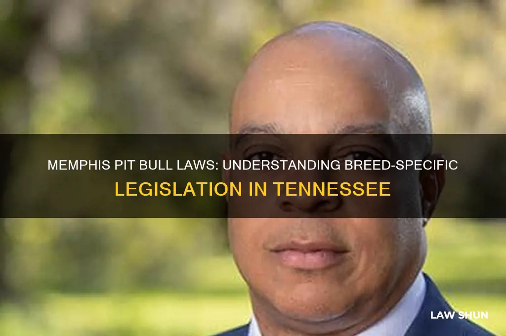 is there a law against pit bulls in memphis tn