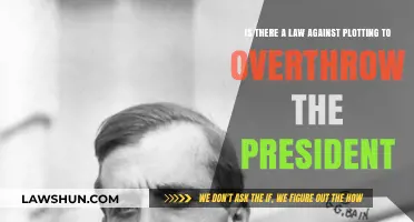 Plotting to Overthrow the President: Legal Boundaries and Consequences Explained