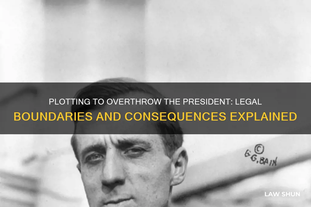 is there a law against plotting to overthrow the president