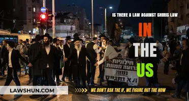 Understanding Shiris Law: Legal Implications and US Legislation Explained