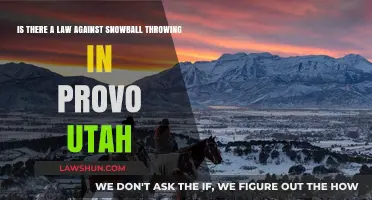 Snowball Throwing in Provo: Legal or a Lawbreaker's Game?