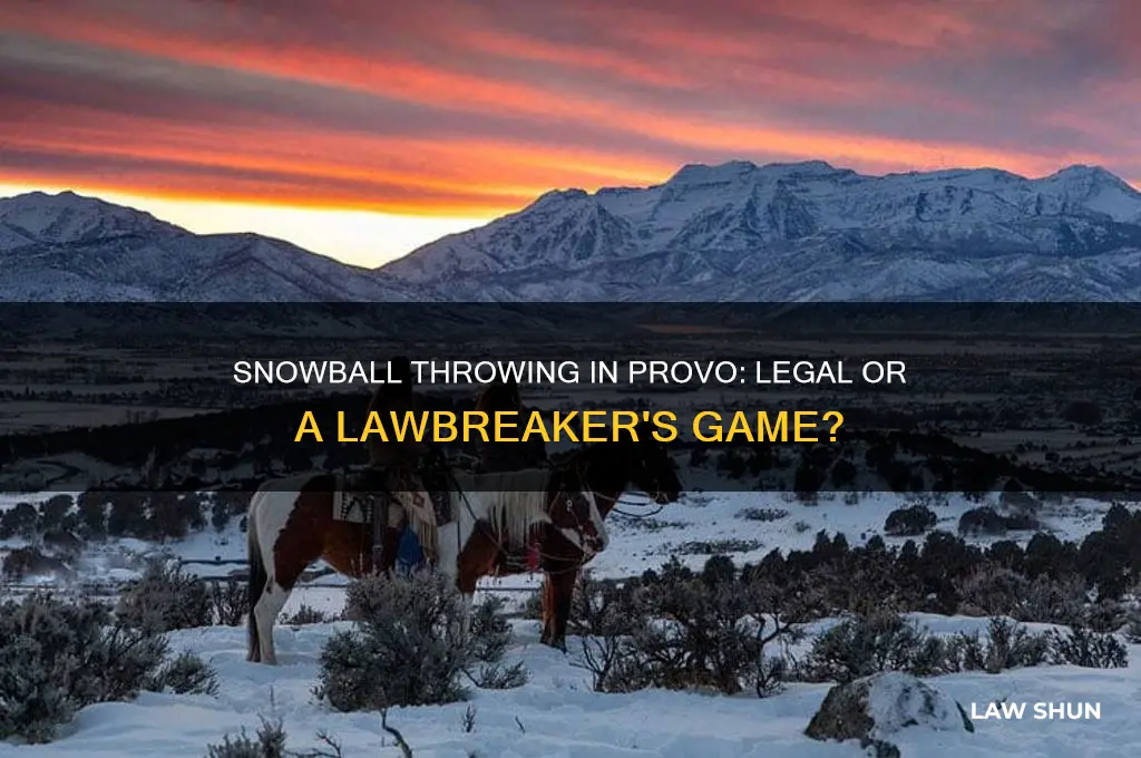 is there a law against snowball throwing in provo utah