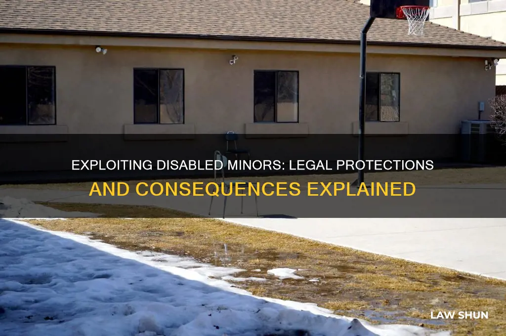 is there a law against taking advantage of disabled minor