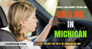 Michigan Texting and Driving Laws: What You Need to Know