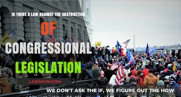 Obstructing Congress: Legal Boundaries and Consequences Explained