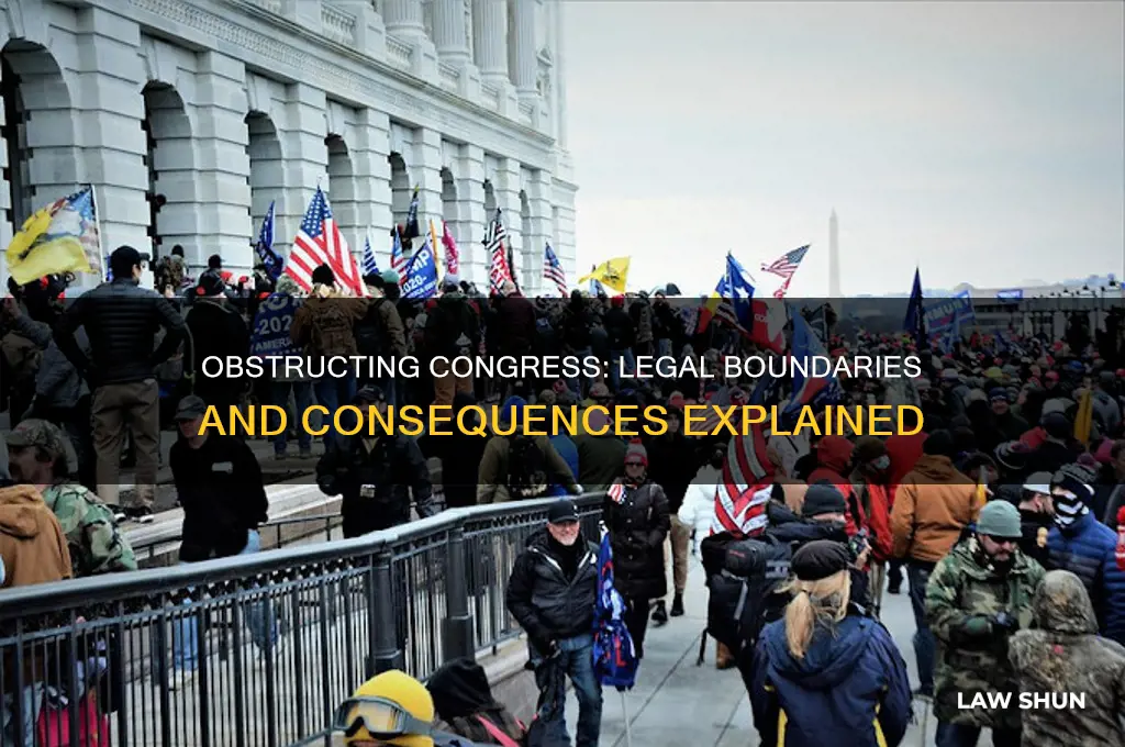 is there a law against the obstruction of congressional legislation