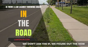 Throwing Grass in the Road: Legal Consequences and Local Laws Explained