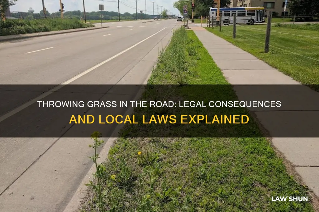 is there a law against throwing grass in the road