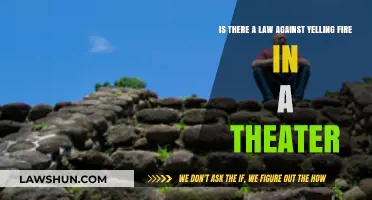 Yelling Fire in a Theater: Legal Consequences and Free Speech Limits