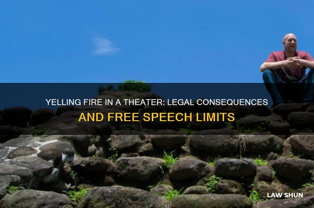 is there a law against yelling fire in a theater