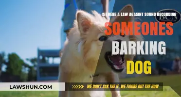 Can You Legally Record a Neighbor's Barking Dog? Laws Explained