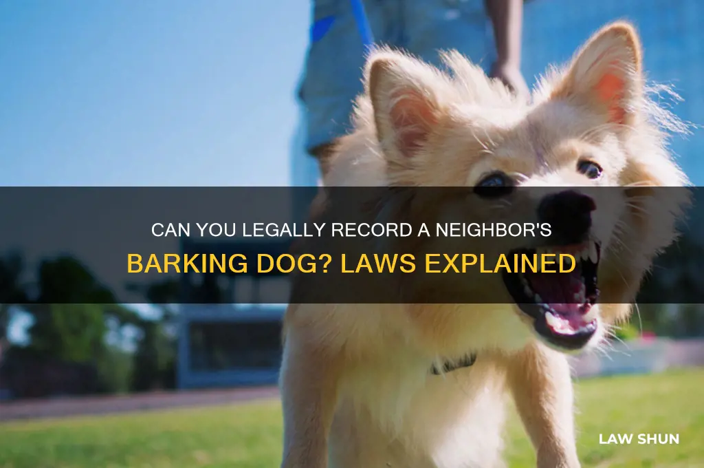 is there a law agasint sound recording someones barking dog