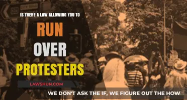 Legal Limits: Can Drivers Hit Protesters Without Consequences?