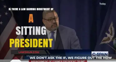Can a Sitting President Be Indicted? Exploring Legal Boundaries