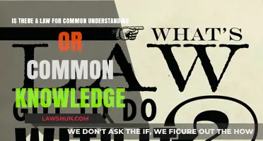 What Laws Govern Common Understanding and Shared Knowledge?