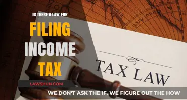 Understanding the Legal Requirement of Filing Income Tax Returns