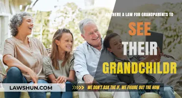 Grandparents' Visitation Rights: Legal Options for Seeing Grandchildren