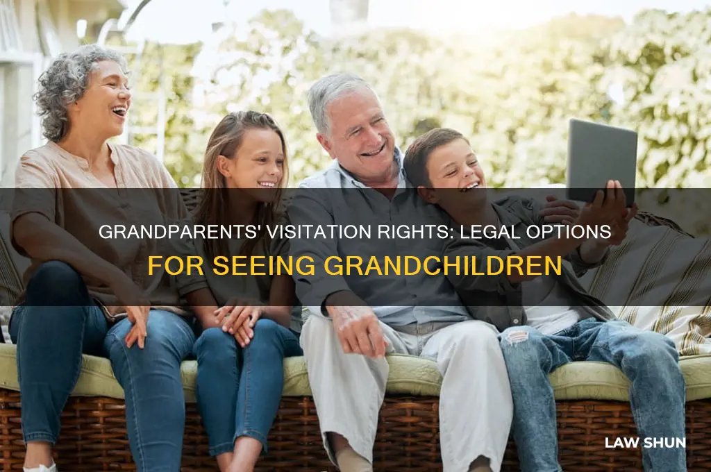 is there a law for grandparents to see their grandchildren