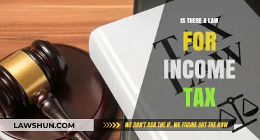 Income Tax Laws: What You Need to Know