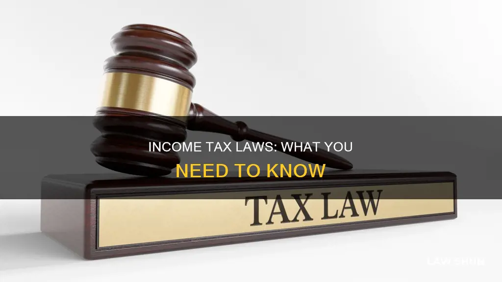 is there a law for income tax