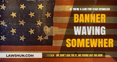 Is Waving the Star-Spangled Banner Legally Protected? Exploring the Law