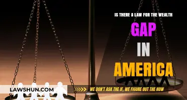 Bridging the Divide: Legal Solutions to America's Wealth Inequality Crisis