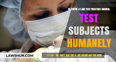 Animal Testing Laws: Ensuring Humane Treatment for Research Subjects