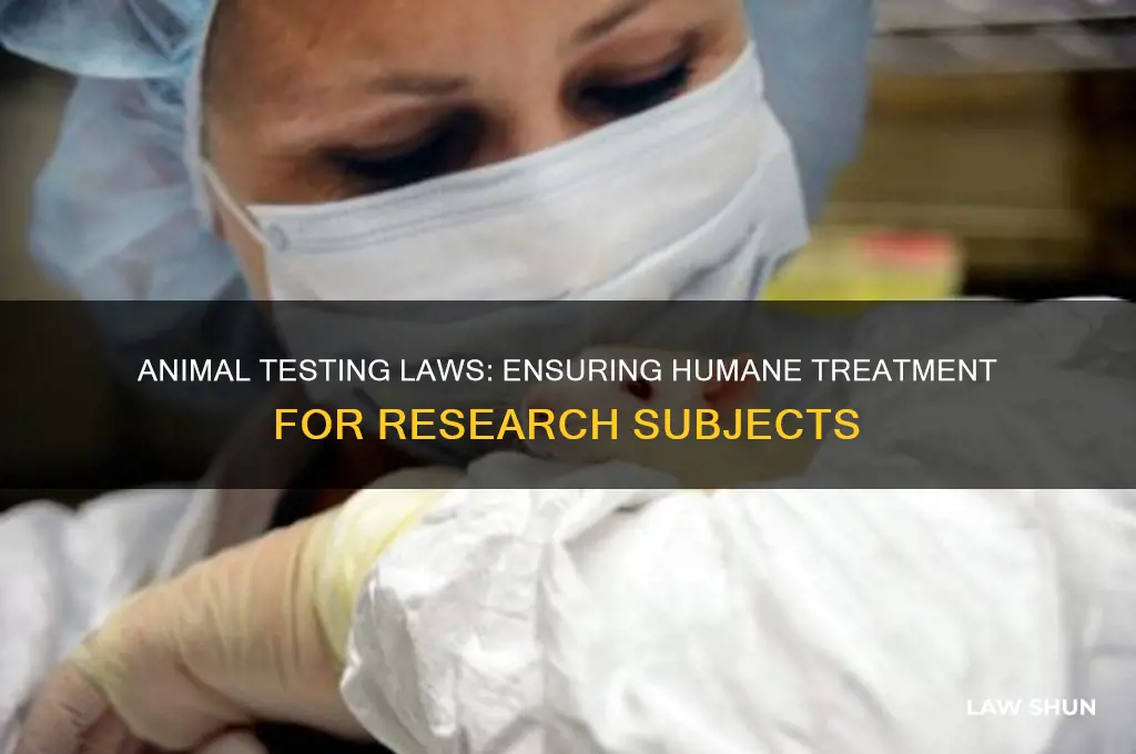 is there a law for treating animal test subjects humanely