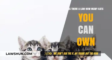 Pet Ownership Laws: How Many Cats Are Too Many?