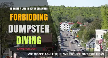 Dover, Delaware Dumpster Diving Laws: What You Need to Know