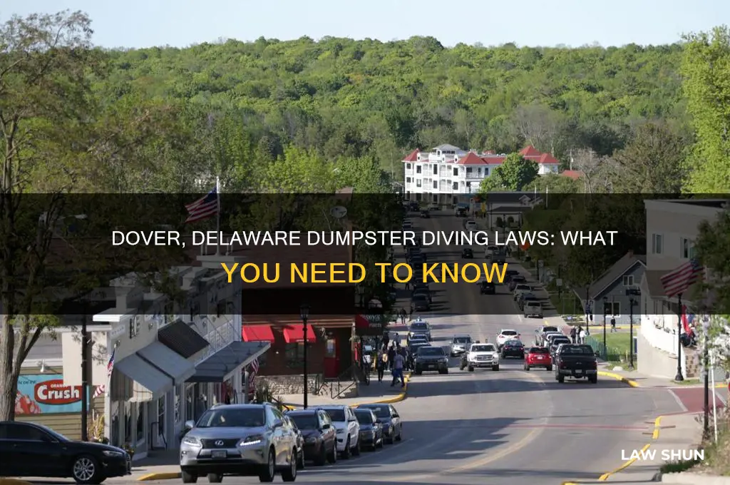 is there a law in dover delaware forbidding dumpster diving