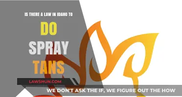 Idaho Spray Tan Regulations: Legal Requirements Explained for Businesses and Clients