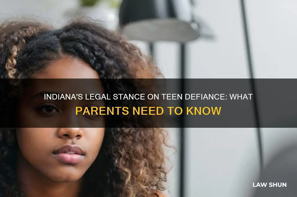 is there a law in indiana about teens being difant