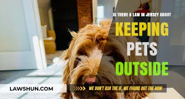 Jersey's Outdoor Pet Laws: What Owners Need to Know