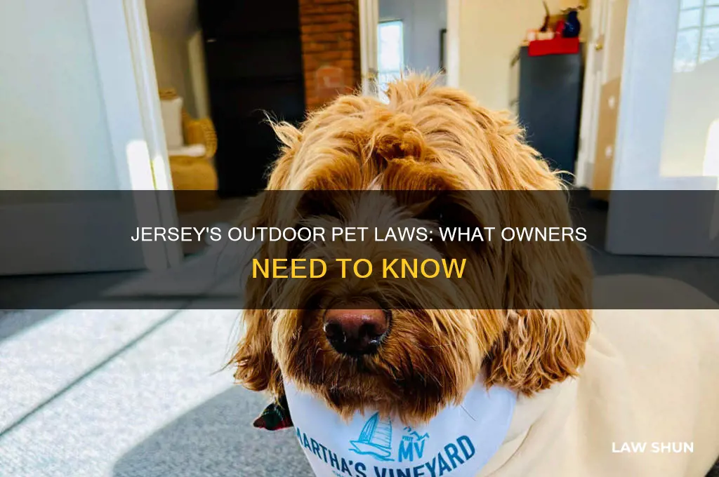 is there a law in jersey about keeping pets outside