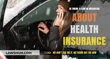 Michigan Health Insurance Laws: What Residents Need to Know
