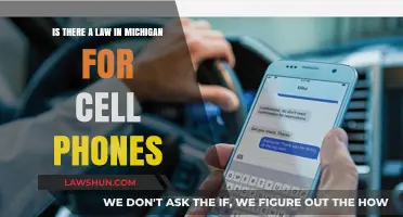 Michigan Cell Phone Laws: What You Need to Know