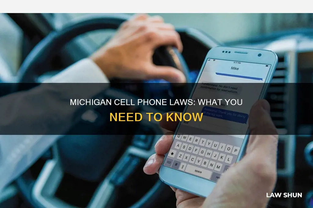 is there a law in michigan for cell phones