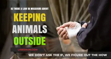 Missouri's Outdoor Animal Laws: What You Need to Know