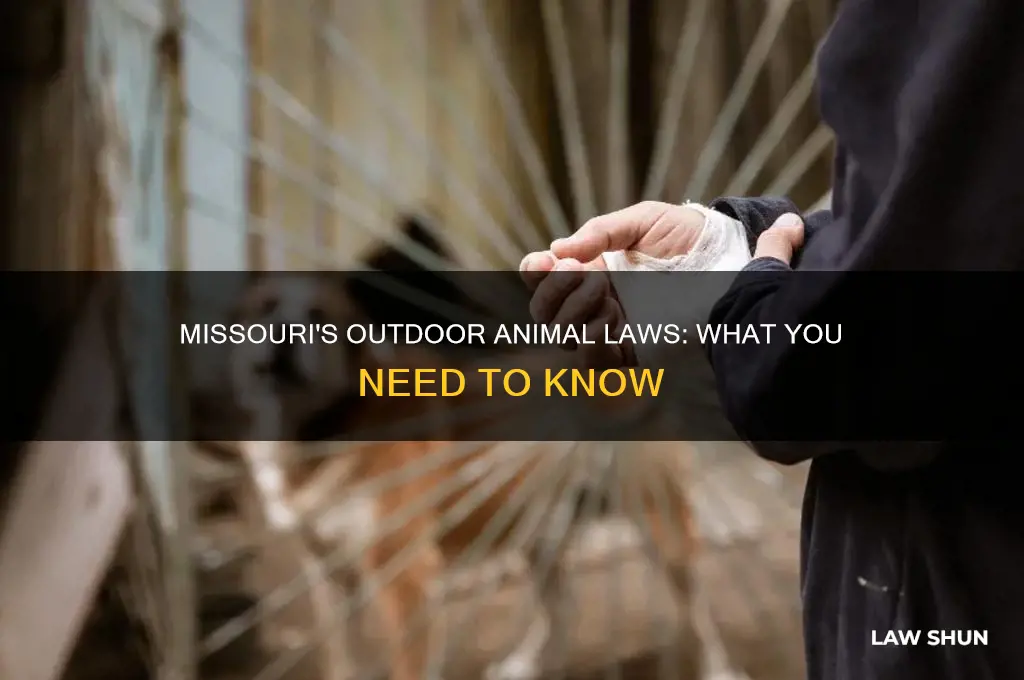 is there a law in missouri about keeping animals outside