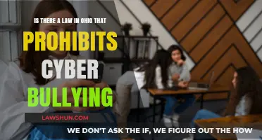 Ohio Cyberbullying Laws: Understanding Legal Protections Against Online Harassment