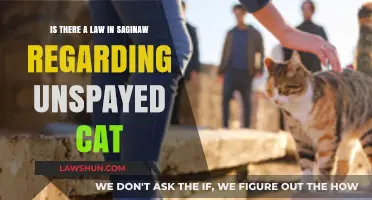 Saginaw's Unspayed Cat Laws: What Pet Owners Need to Know