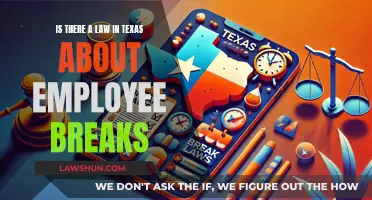 Texas Employee Break Laws: What You Need to Know